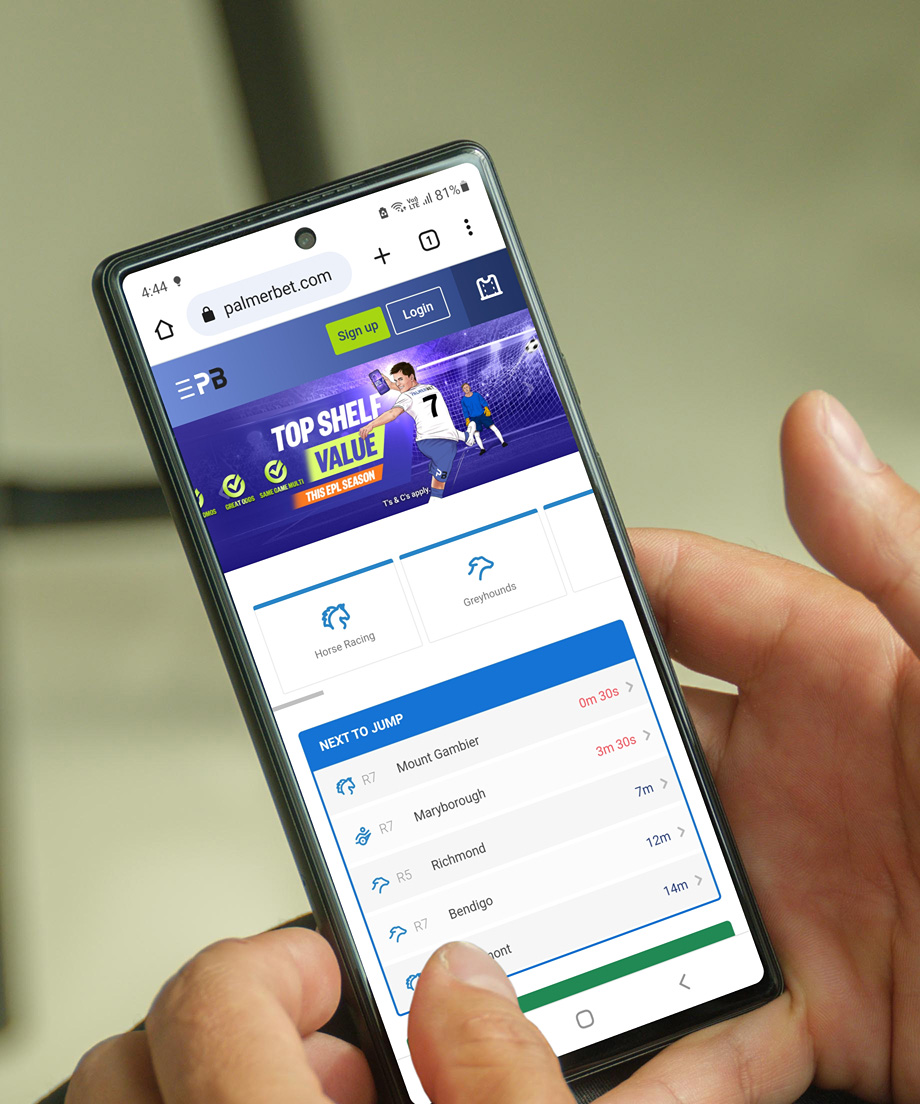 testing the Palmerbet website on smartphone
